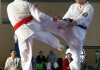 I.K.O Matsushima Poland fought hard in Carpathia  Kyokushin Open Cup on 28.01.2012 in Rzeszów.