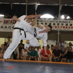 The result of men fights( The 4th I.K.O.MATSUSHIMA World Tournament )