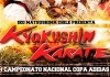 2012 Chile National Championships Kyokushin Matsushima will be held on 17th Nov.