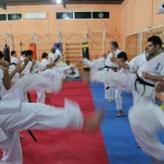 The 2nd IKO MATSUSHIMA U.A.E.Kyokushin Karate Camp will be held from 29th Nov.to 1st Dec.2013