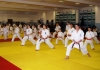 Dan-Kuy test and Seminar were held in Russia on13~17th November 2013