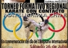 A winter camp and Regional Karate Tournament in commemoration to Day International Olympics were organized in Chile
