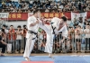 The 10th Kyokushin China Open Tournament was held from 2nd. to 3rd. October,2014, in Nanjing,China.