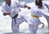 Karate training was held in Northern Area Chile