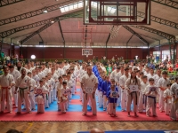 The tournament , Dan test and Seminar were held in Chile