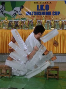 Myanmar Champ2016 10 (480x640)