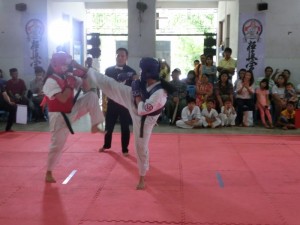 Myanmar Champ2016 12 (800x600)