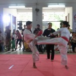 Myanmar Champ2016 13 (800x600)