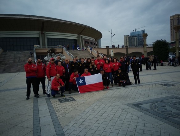World Cup China Chile Toledo (3) (800x606)