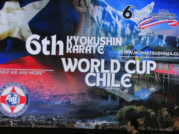 World Cup Chile Kata & Kumite (20)