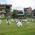 Nepal September 2011-2