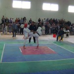 Iran Ghasemi January 2012 3