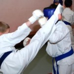 Russia Olin January 2012 8