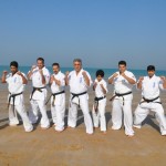 UAE Mehdi February 2012 1