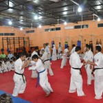 UAE Mehdi February 2012 3