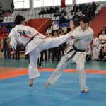 Russia kholkin March 2012 6