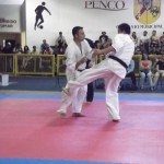 South American Champ web_11