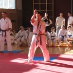 Croatia Sekelj April 2012 9