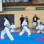 Ukraine Levitin May 2012 1