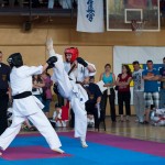 Ukraine Levitin May 2012 5