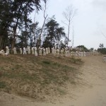 India Das May 2012 9