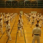 Seminar-8