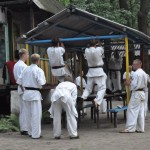 Ukraine Levitin August 2012 1