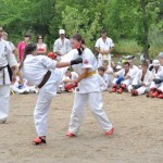 Ukraine Levitin August 2012 11