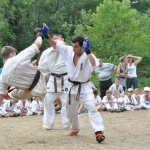 Ukraine Levitin August 2012 12