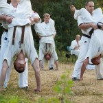 Ukraine Levitin August 2012 2