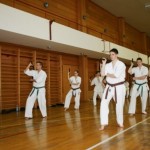 Croatia Sekeli January 2013 14