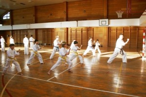 Croatia Sekeli January 2013 18