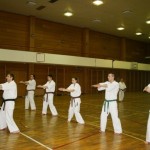 Croatia Sekeli January 2013 2