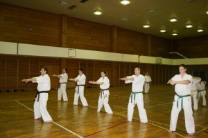 Croatia Sekeli January 2013 2