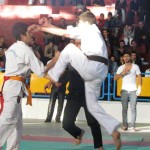 Iran Ghasemi March 2013 10