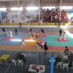 Iran Ghasemi March 2013 5