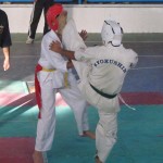 Iran Ghasemi March 2013 9