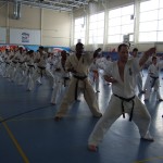 Russia Champ Mar2013 174
