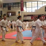 Chile Toledo JUne 2013 5