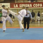 Chile Toledo June 2013 10