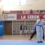 Chile Toledo June 2013 12