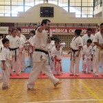 Chile Toledo June 2013 3