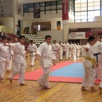 Chile Toledo June 2013 4