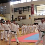 Chile Toledo June 2013 6