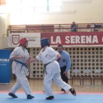 Chile Toledo June 2013 9