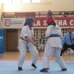 Chile Toloedo June 2013 8