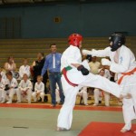 Estonia Shamil June 2013 3