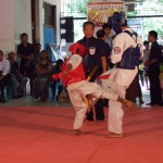 Myanmar Champ 13