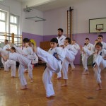 Serbia Bizic June 2013 2