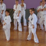 Serbia Bizic June 2013 3